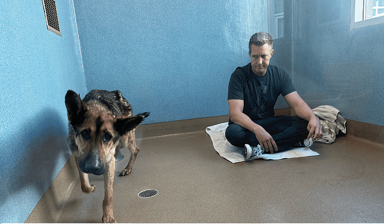 The Dog Who Chose Love: Macy’s Journey from Starvation to Safety